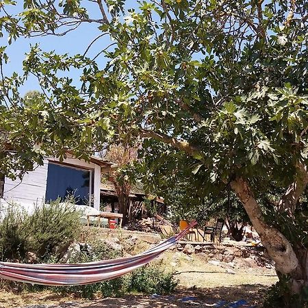 Hosting Lev Kadita Villa Ngoại thất bức ảnh